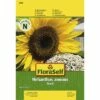 Sonnenblume 'Snack' FloraSelf Samenfestes Saatgut Blumensamen -Florasellf Geschaft DV 8 6568254 03 4c DE 20180111184815
