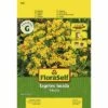 Tagetes 'Anisata' FloraSelf Samenfestes Saatgut Blumensamen 1 Tagetes 'Anisata' FloraSelf Samenfestes Saatgut Blumensamen -Florasellf Geschaft DV 8 6568264 03 4c DE 20180111192014
