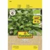 Bio Salbei 'Salina' FloraSelfBio Samenfestes Saatgut Kräutersamen -Florasellf Geschaft DV 8 6568294 03 4c DE 20180111200651