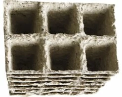 Anzuchttöpfe FloraSelf 4x4x5 Cm 8 Pflanzplatten X 6 Pflanzmöglichkeiten = 48 Anzuchttöpfe 9 Anzuchttöpfe FloraSelf 4x4x5 Cm 8 Pflanzplatten X 6 Pflanzmöglichkeiten = 48 Anzuchttöpfe -Florasellf Geschaft DV 8 6623219 02 4c AT 20181128171655