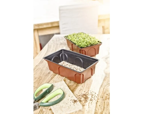 Zimmergewächshaus FloraSelf Fensterbank-Treibhaus 19x11x11 Cm Inkl. Vlies Und Haube 4 Zimmergewächshaus FloraSelf Fensterbank-Treibhaus 19x11x11 Cm Inkl. Vlies Und Haube – Bild 2