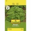 Spinat 'Matador' FloraSelf Samenfestes Saatgut Gemüsesamen -Florasellf Geschaft DV 8 7120906 01 4c AT 20230104141756