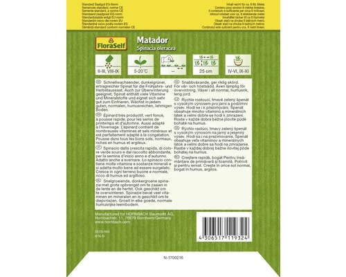 Spinat 'Matador' FloraSelf Samenfestes Saatgut Gemüsesamen 4 Spinat 'Matador' FloraSelf Samenfestes Saatgut Gemüsesamen – Bild 2