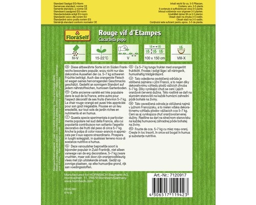 Kürbis 'Rouge Vif D'Etampes' FloraSelf Samenfestes Saatgut Gemüsesamen 4 Kürbis 'Rouge Vif D'Etampes' FloraSelf Samenfestes Saatgut Gemüsesamen – Bild 2