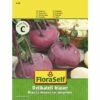 Kohlrabi 'Delikateß Blauer' FloraSelf Samenfestes Saatgut Gemüsesamen -Florasellf Geschaft DV 8 7120931 01 4c AT 20190417092235