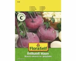 Kohlrabi 'Delikateß Blauer' FloraSelf Samenfestes Saatgut Gemüsesamen