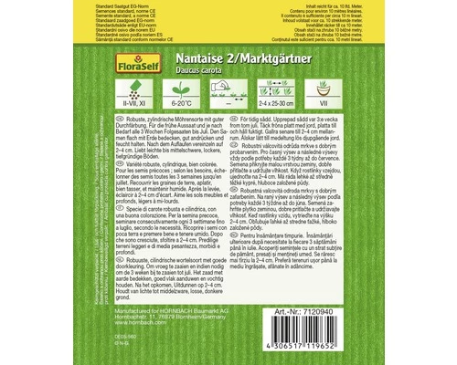 Möhre 'Naintaise 2 / Marktgärtner' FloraSelf Samenfestes Saatgut Gemüsesamen 4 Möhre 'Naintaise 2 / Marktgärtner' FloraSelf Samenfestes Saatgut Gemüsesamen – Bild 2