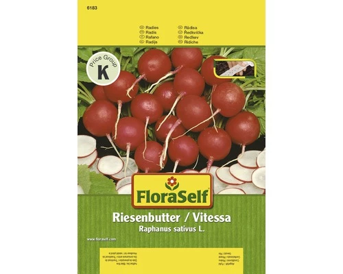 Radieschen 'Riesenbutter / Vitessa' FloraSelf Samenfestes Saatgut Gemüsesamen 3 Radieschen 'Riesenbutter / Vitessa' FloraSelf Samenfestes Saatgut Gemüsesamen