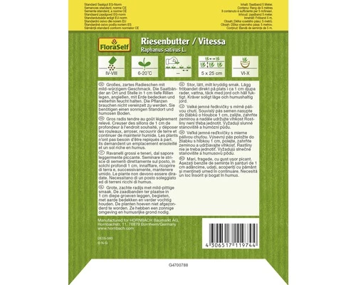 Radieschen 'Riesenbutter / Vitessa' FloraSelf Samenfestes Saatgut Gemüsesamen 4 Radieschen 'Riesenbutter / Vitessa' FloraSelf Samenfestes Saatgut Gemüsesamen – Bild 2