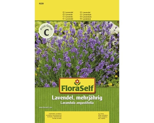 Lavendel 'Mehrjährig' FloraSelf Samenfestes Saatgut Kräutersamen 3 Lavendel 'Mehrjährig' FloraSelf Samenfestes Saatgut Kräutersamen
