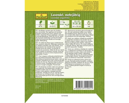 Lavendel 'Mehrjährig' FloraSelf Samenfestes Saatgut Kräutersamen 4 Lavendel 'Mehrjährig' FloraSelf Samenfestes Saatgut Kräutersamen – Bild 2