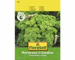 Petersilie 'Grandeur' FloraSelf Samenfestes Saatgut Kräutersamen