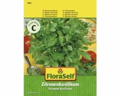 Zitronenbasilikum 'Einjährig' FloraSelf Samenfestes Saatgut Kräutersamen
