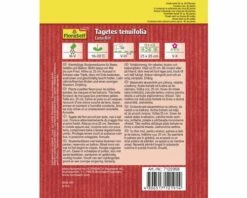 Tagetes 'Luna Rot' FloraSelf Select Samenfestes Saatgut Blumensamen -Florasellf Geschaft DV 8 7122958 03 4c AT 20180405121915