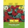 Kapuzinerkresse 'Kaiserin Viktoria' FloraSelf Samenfestes Saatgut Blumensamen -Florasellf Geschaft DV 8 7122961 01 4c AT 20230104141756