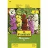 Stockrose 'Mix' FloraSelf Samenfestes Saatgut Blumensamen 1 Stockrose 'Mix' FloraSelf Samenfestes Saatgut Blumensamen -Florasellf Geschaft DV 8 7122981 01 4c AT 20230104141756
