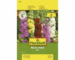 Stockrose 'Mix' FloraSelf Samenfestes Saatgut Blumensamen
