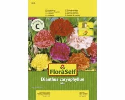Landnelken 'Mix' FloraSelf Samenfestes Saatgut Blumensamen