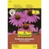 Sonnenhut 'Roter Leuchtstern' FloraSelfSelect Samenfestes Saatgut Blumensamen 1 Sonnenhut 'Roter Leuchtstern' FloraSelfSelect Samenfestes Saatgut Blumensamen -Florasellf Geschaft DV 8 7122995 01 4c AT 20180105104125