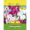 Wicken 'Mix' FloraSelf Samenfestes Saatgut Blumensamen 1 Wicken 'Mix' FloraSelf Samenfestes Saatgut Blumensamen -Florasellf Geschaft DV 8 7122996 01 4c AT 20190410160843