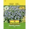 Vergissmeinnicht 'Blue' FloraSelf Blumensamen -Florasellf Geschaft DV 8 7122999 01 4c AT 20190410160921