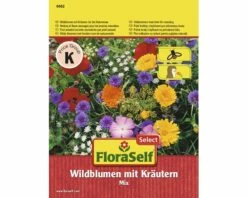 Blumenwiesensamen FloraSelf Wildblumen Mit Kräutern Für Naturwiese Samenfestes Saatgut