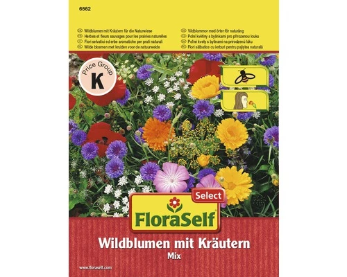 Blumenwiesensamen FloraSelf Wildblumen Mit Kräutern Für Naturwiese Samenfestes Saatgut 3 Blumenwiesensamen FloraSelf Wildblumen Mit Kräutern Für Naturwiese Samenfestes Saatgut