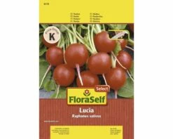 Radieschen 'Lucia' FloraSelf Select F1 Hybride Gemüsesamen