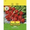 Radieschen 'Sora' FloraSelf Samenfestes Saatgut Gemüsesamen 2 Radieschen 'Sora' FloraSelf Samenfestes Saatgut Gemüsesamen -Florasellf Geschaft DV 8 8074189 01 4c AT 20190411093246