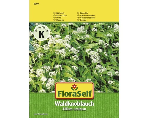 Bärlauch 'Waldknoblauch' FloraSelf Samenfestes Saatgut Kräutersamen 3 Bärlauch 'Waldknoblauch' FloraSelf Samenfestes Saatgut Kräutersamen