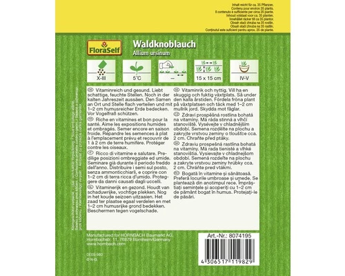 Bärlauch 'Waldknoblauch' FloraSelf Samenfestes Saatgut Kräutersamen 4 Bärlauch 'Waldknoblauch' FloraSelf Samenfestes Saatgut Kräutersamen – Bild 2