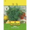 Dill 'Tetra' FloraSelf Samenfestes Saatgut Kräutersamen 1 Dill 'Tetra' FloraSelf Samenfestes Saatgut Kräutersamen -Florasellf Geschaft DV 8 8074197 01 4c AT 20221213154651
