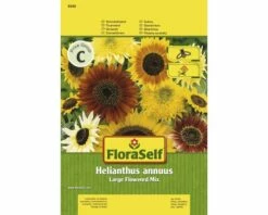Sonnenblume 'Large Flowered Mix' FloraSelf Samenfestes Saatgut Blumensamen