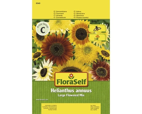 Sonnenblume 'Large Flowered Mix' FloraSelf Samenfestes Saatgut Blumensamen 3 Sonnenblume 'Large Flowered Mix' FloraSelf Samenfestes Saatgut Blumensamen