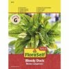 Blutampfer 'Bloody Dock' FloraSelf Samenfestes Saatgut Salatsamen -Florasellf Geschaft DV 8 8695149 01 4c AT 20190411093427