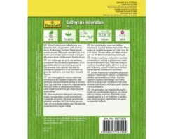 Duftwicken 'Mix' FloraSelf Samenfestes Saatgut Blumensamen 5 Duftwicken 'Mix' FloraSelf Samenfestes Saatgut Blumensamen -Florasellf Geschaft DV 8 8872806 02 4c AT 20190411051659