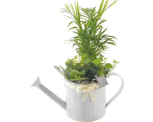 Titelseite -Florasellf Geschaft DV 8 5855102 01 4c DE 20180111102434