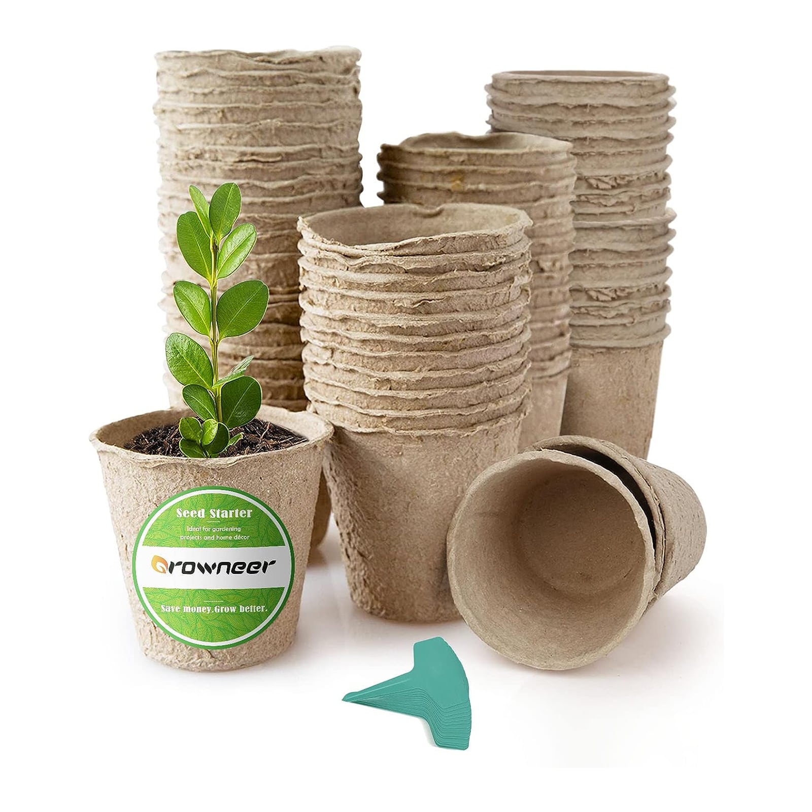 Titelseite -Florasellf Geschaft 主图 1 11 min